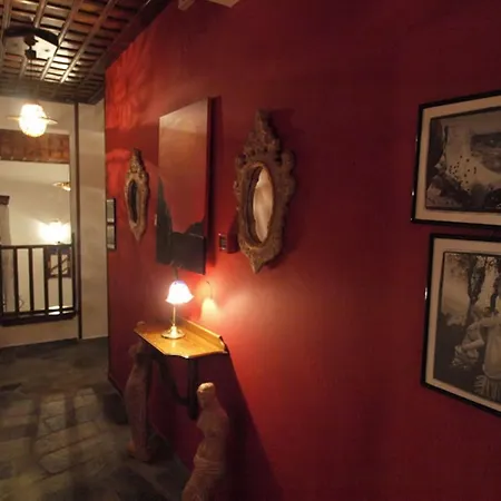 Adam 마크리니차